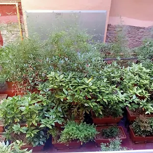 Apartamento Piso Acogedor, Vitoria